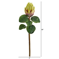 Green King Protea Stem, 4ct.