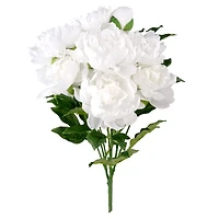 White Peony Bush by Ashland®