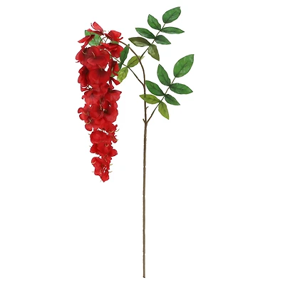 Red Wisteria Stem by Ashland®