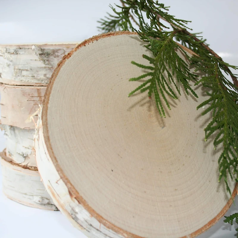 Wilson® Enterprises 7" Thick Birch Rounds, 8ct.