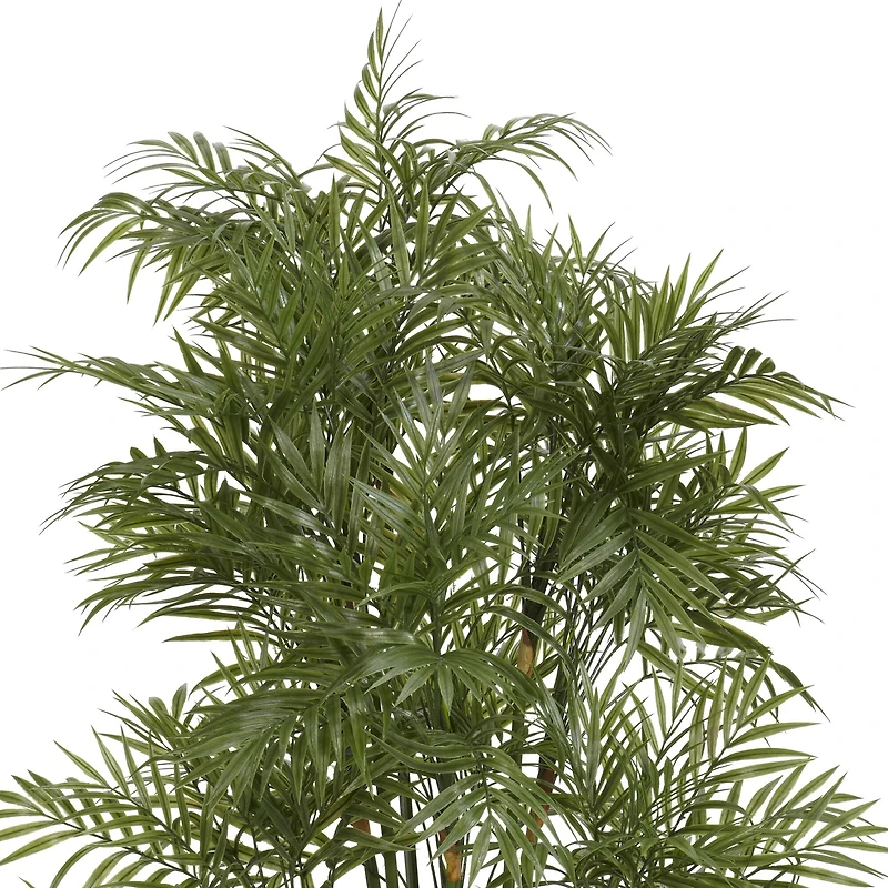 4ft. Potted Parlour Palm Tree