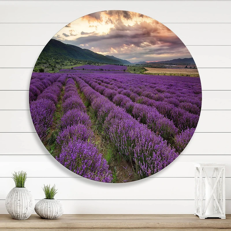 Designart - Lavender Field At Dawn I