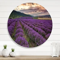 Designart - Lavender Field At Dawn I