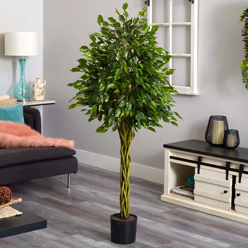5ft. Potted Woven Trunk Ficus Tree