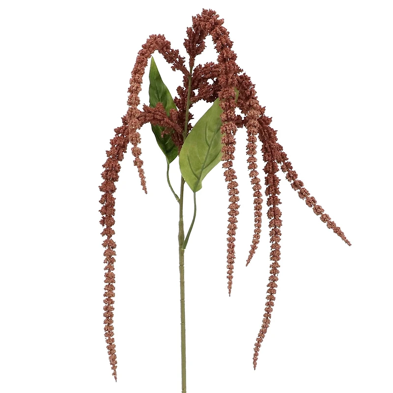 Blush Amaranthus Stem by Ashland®