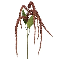 Blush Amaranthus Stem by Ashland®