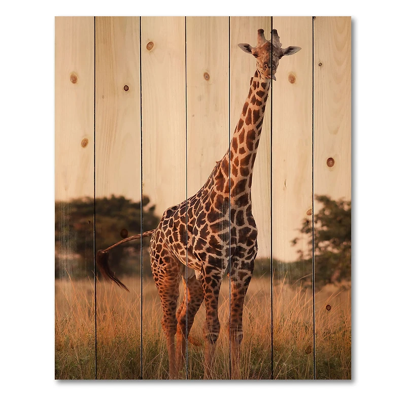 Designart - African Giraffe In The Wild I