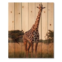 Designart - African Giraffe In The Wild I