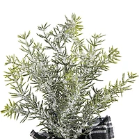10" Unlit Mini Frosted Pine Artificial Christmas Tree Set