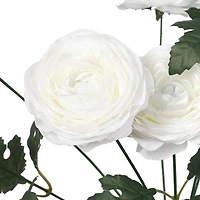 18" Ranunculus Bush by Ashland