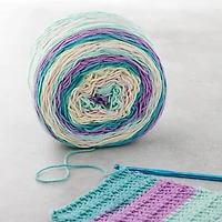 12 Pack: Caron® Big Cakes™ Yarn