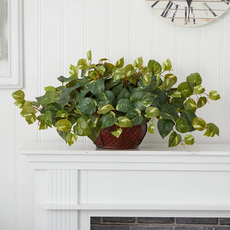 15" Potted Pothos Plant