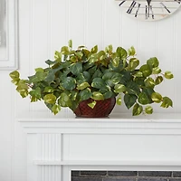 15" Potted Pothos Plant