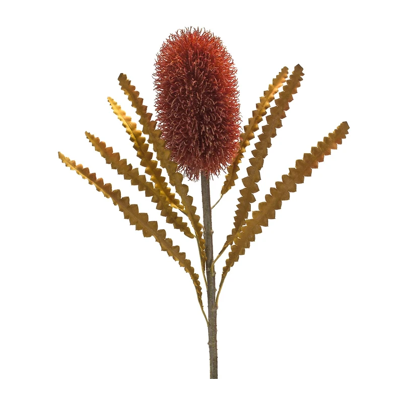24" Burnt Orange Banksia Floral Stems. 6ct.