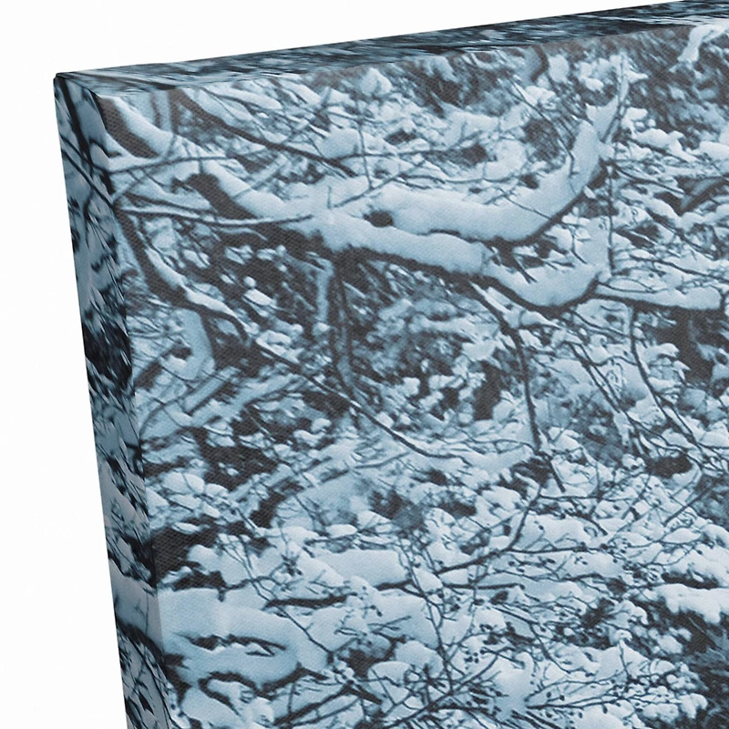 Snowy Park Lake Pine Trees 36x24 Canvas Wall Art