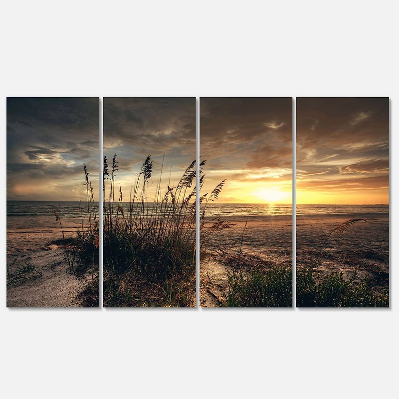 Designart - Grassy and beach sunset