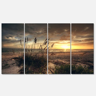 Designart - Grassy and beach sunset
