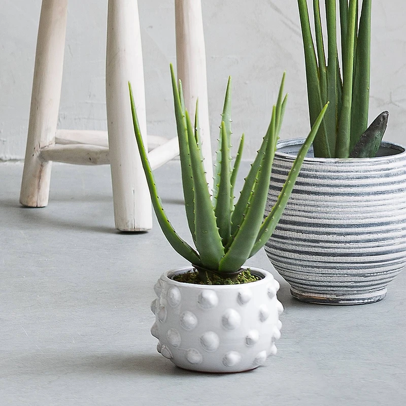 Hello Honey® 5.5" White Bubbled Design Terra Cotta Planter