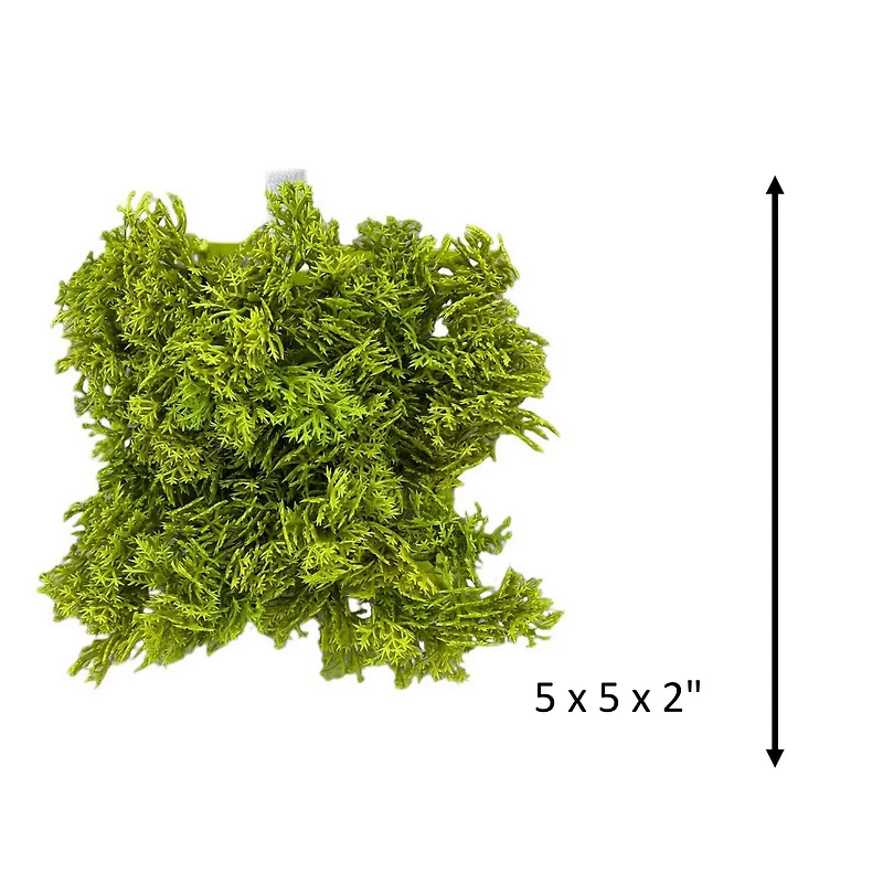 5" Faux Moss Mat by Ashland®