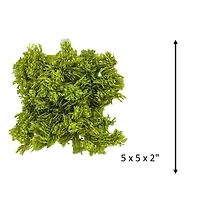 5" Faux Moss Mat by Ashland®