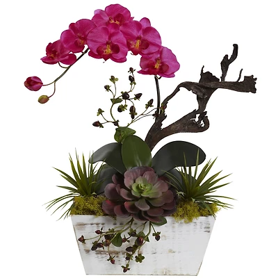 21" Beauty Orchid & Succulent Garden with Whitewashed Planter