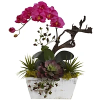 21" Beauty Orchid & Succulent Garden with Whitewashed Planter