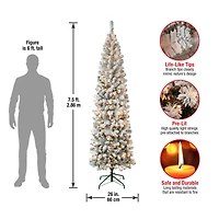 7.5ft. Pre-Lit Acacia Pencil Slim Flocked Artificial Christmas Tree, Clear Lights