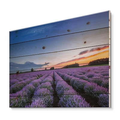 Designart - Sunrise & Dramatic Clouds Over Lavender Field I