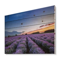 Designart - Sunrise & Dramatic Clouds Over Lavender Field I