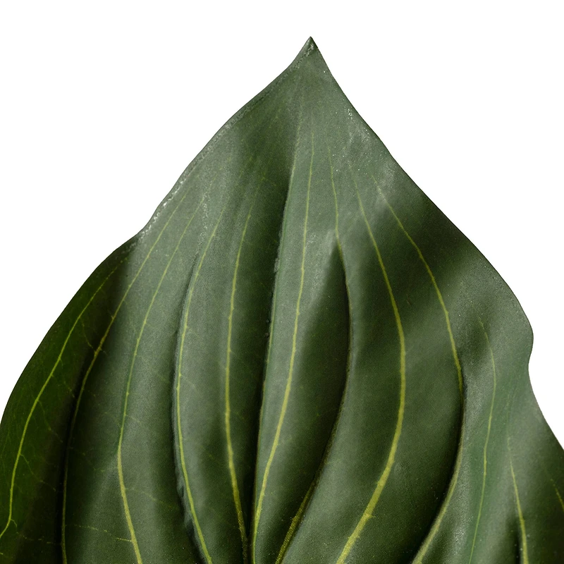 8 Pack: Green Real Touch Hosta Bush by Ashland®