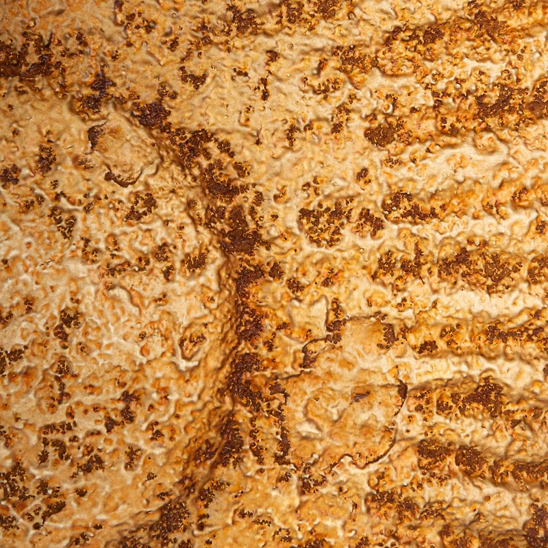 Hello Honey® 11.75" Distressed Gold Salmon Tail Metal Wall Décor