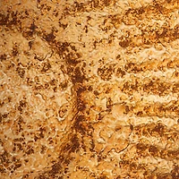 Hello Honey® 11.75" Distressed Gold Salmon Tail Metal Wall Décor