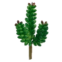Flora Bunda® Donkey Tail Succulent Pick, 12ct.
