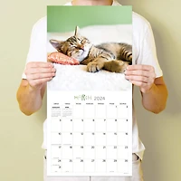 TF Publishing 2024 Cat Dreams Wall Calendar