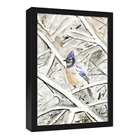 Winter Blue Jay 12" x 18" Black Framed Canvas