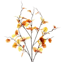 39" Brown Eucalyptus Stem by Ashland® 