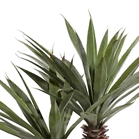 37" Black Contemporary Floral & Botanical Artificial Foliage