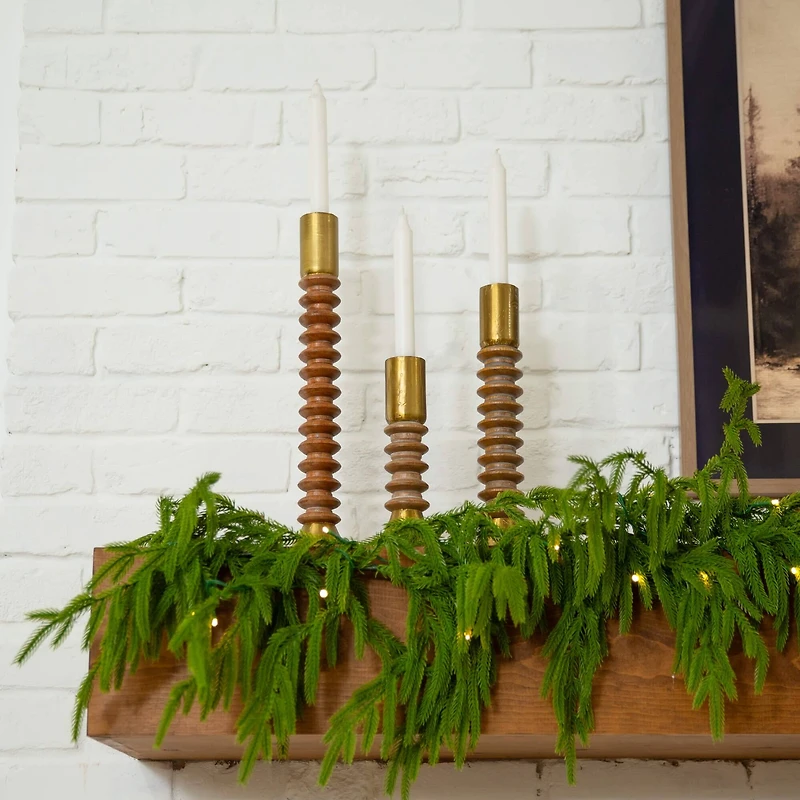 9ft. Pre-Lit Artificial Real Touch Norfolk Island Pine Garland with 50 Warm White LED Lights and Natural Look