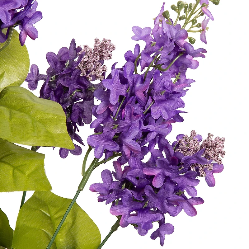 21" Lilac Bush by Ashland