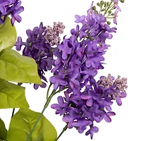 21" Lilac Bush by Ashland