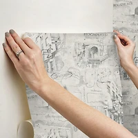 RoomMates Taupe Harry Potter Map Peel & Stick Wallpaper
