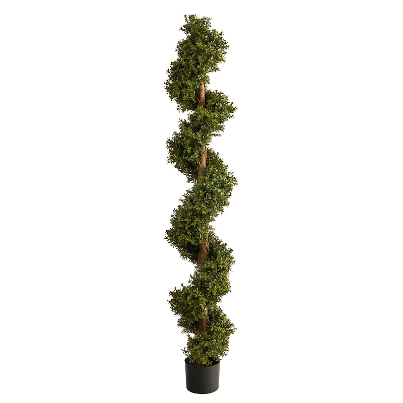 6ft. Potted Spiral Boxwood Topiary Tree