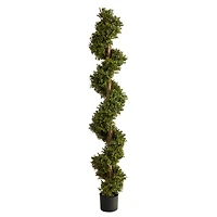 6ft. Potted Spiral Boxwood Topiary Tree