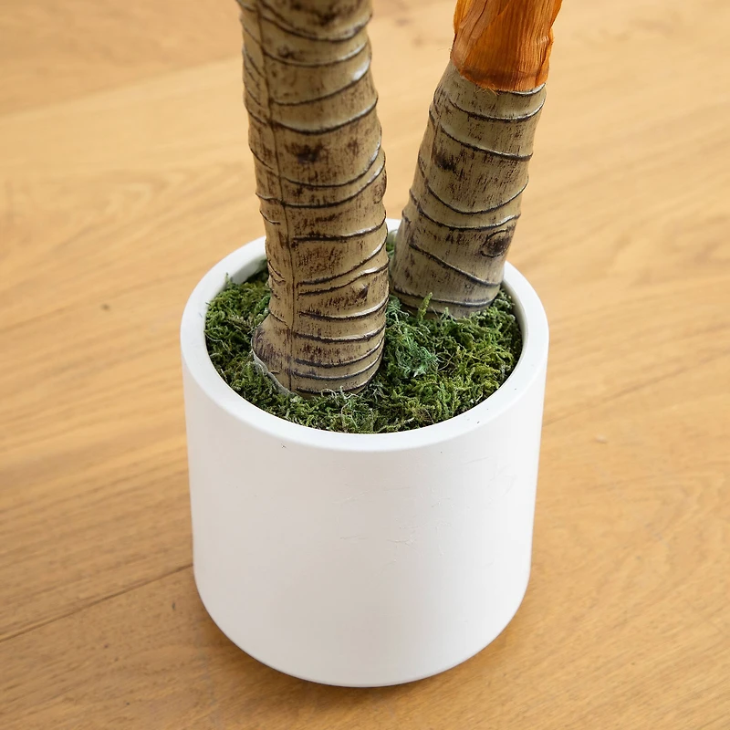 5.5ft. Arrowhead Philodendron in White Decorative Planter