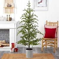 5.5ft. Pre-Lit Pine Artificial Christmas Tree in Decorative Planter, Clear Lights