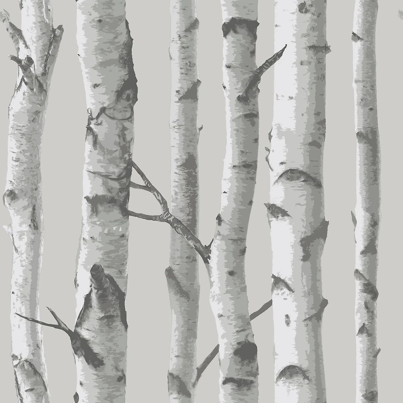 InHome Birch Forest Gray Peel & Stick Wallpaper