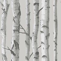 InHome Birch Forest Gray Peel & Stick Wallpaper
