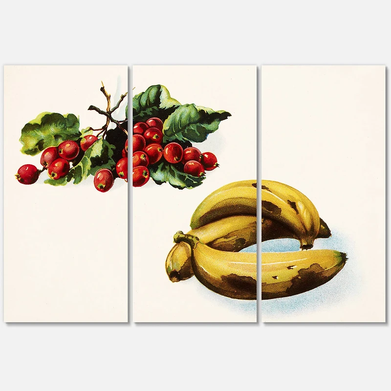 Designart - Banana and Red Berries