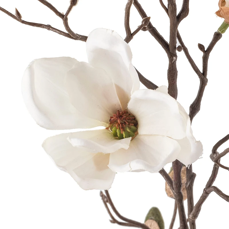 White Magnolia Branch Stem by Ashland®