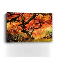Lumaprints 36" Autumn Symphony Canvas Giclee Wall Art